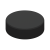 hockey puck